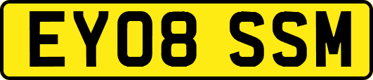 EY08SSM