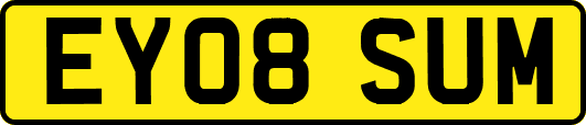 EY08SUM