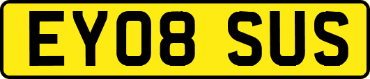 EY08SUS