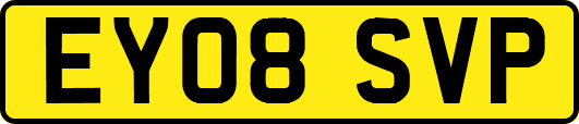 EY08SVP