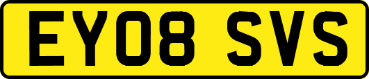 EY08SVS