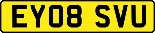 EY08SVU