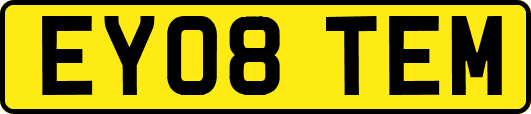 EY08TEM