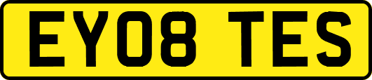 EY08TES