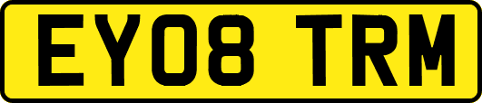EY08TRM