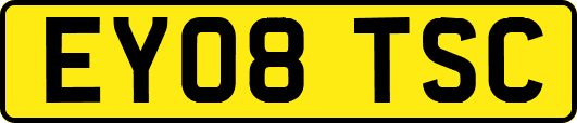 EY08TSC