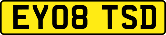 EY08TSD