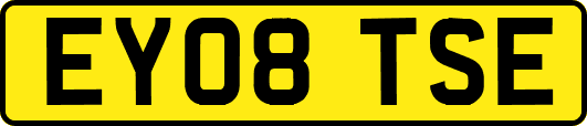 EY08TSE