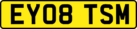EY08TSM