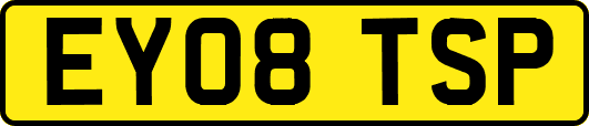 EY08TSP