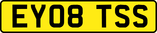 EY08TSS