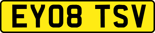 EY08TSV
