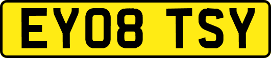 EY08TSY