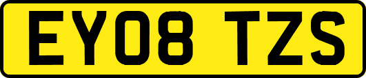 EY08TZS