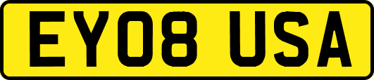 EY08USA
