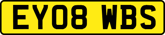 EY08WBS