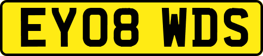 EY08WDS