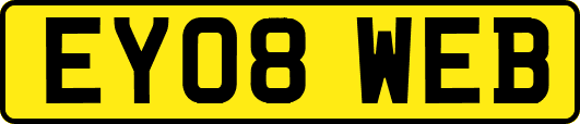 EY08WEB
