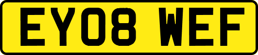 EY08WEF
