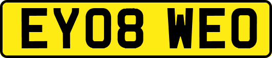 EY08WEO