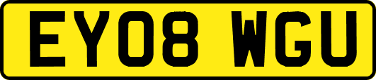 EY08WGU