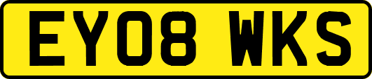 EY08WKS