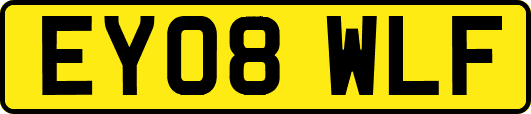 EY08WLF