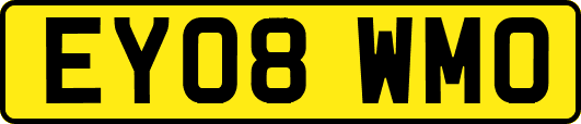 EY08WMO