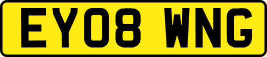 EY08WNG