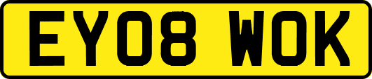 EY08WOK