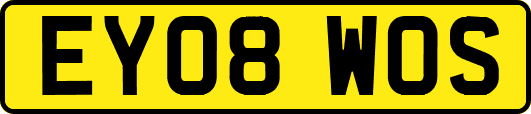 EY08WOS