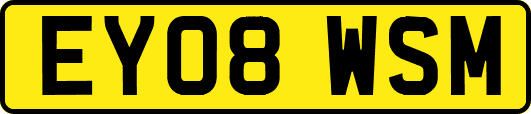 EY08WSM