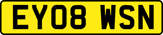 EY08WSN