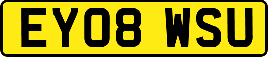 EY08WSU