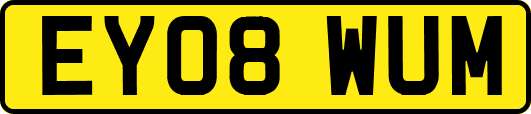 EY08WUM