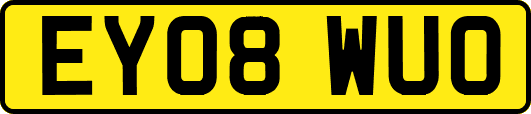 EY08WUO