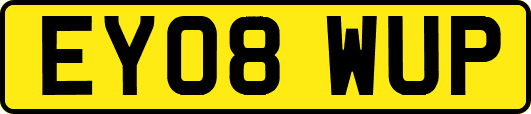 EY08WUP