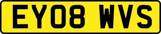 EY08WVS