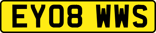 EY08WWS