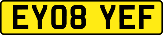 EY08YEF