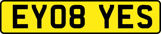 EY08YES