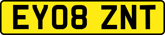 EY08ZNT