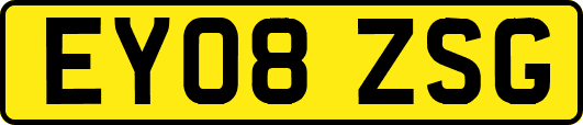 EY08ZSG