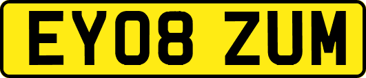 EY08ZUM