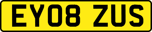 EY08ZUS