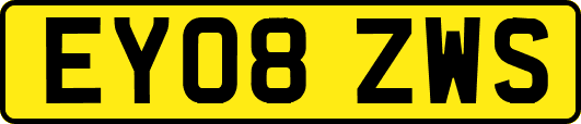 EY08ZWS