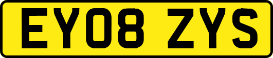 EY08ZYS
