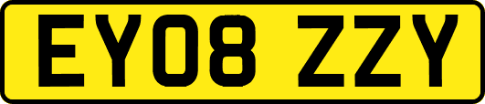 EY08ZZY