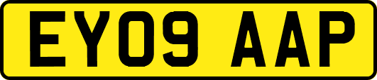 EY09AAP