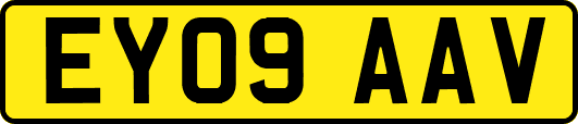 EY09AAV